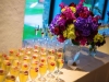 stepping-stones-bloom-gala-champagne-cincinnati-ohio