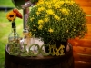 Bloom2021-173