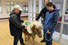 Graham Cracker the CTRH Therapy Pony Visits UCP