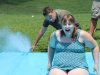 2024-stepping-stones-summer-day-camp-slip-and-slide-02