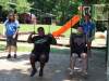 Stepping-Stones-2025-Summer-Day-Camp-Week-2