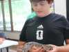 Stepping-Stones-Day-Camp-Summer-2026