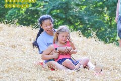 Summer Day Camp - Session 2