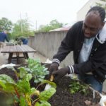 At Stepping Stones, adults with disabilities are planting a fresh vegetable garden to use in their favorite healthy recipes! - Stepping Stones Ohio