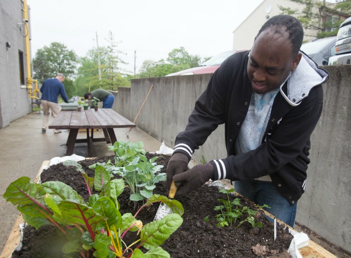 At Stepping Stones, adults with disabilities are planting a fresh vegetable garden to use in their favorite healthy recipes! - Stepping Stones Ohio