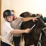 Stepping Stones and Cincinnati Therapeutic Riding & Horsemanship Partner to Empower Adults with Disabilities in Cincinnati, Ohio.