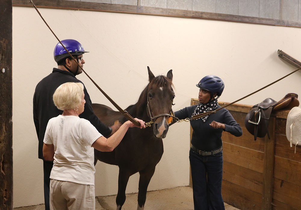 Stepping Stones and Cincinnati Therapeutic Riding & Horsemanship Partner to Empower Adults with Disabilities in Cincinnati, Ohio.