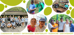 Group and Individual Volunteer Opportunities at Stepping Stones in Greater Cincinnati, Ohio